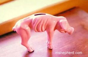 Anorexia Piggy Bank