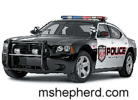 Police Car