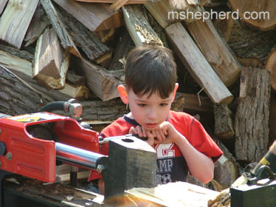 Mark splitting wood