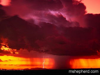 Arizona Rain